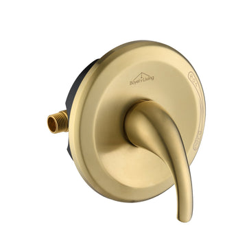 Boyel Living Single Function Pressure Balance Valve with Single Handle Trim Kit