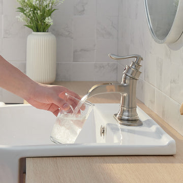 Single Hole Single-Handle Low-Arc Bathroom Faucet in Brushed Nickel