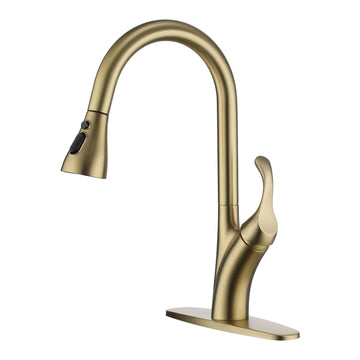 Boyel Living 1.8 GPM Single Handle Pull Down 2-Spray Patterns Sprayer Kitchen Faucet