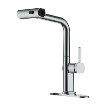 Single Handle Kitchen Faucet with Pull Down Sprayer 3-Function Sink Faucet, 360¡ã Swivel in Chrome