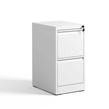 2 Drawer Metal Vertical File Cabinet with Lock Office Home Steel Vertical File Cabinet for A4 Legal Letter Size