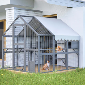 Large Walk-In Cat Enclosure with Bridges and Houses