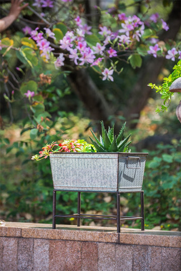 Set of 2 Zale Rustic Metal Planters with Stands