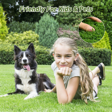 Realistic Artificial Grass Synthetic Turf 6 FT x10 FT for Indoor and Outdoor Use