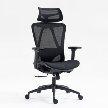 High Back Ergonomic Mesh Office Chair Black