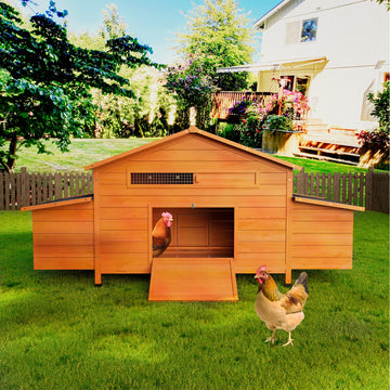 Farm Style Chicken Coop with Natural Wood Finish Dual Flip Top Nesting Boxes and Asphalt Roof
