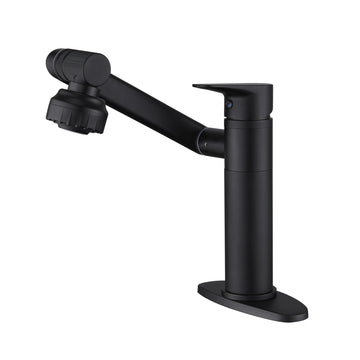Boyel Living Single Handle Single Hole 2-Spray Swivelable Stainless Steel Bathroom Faucet with Deckplate Included in Matte Black