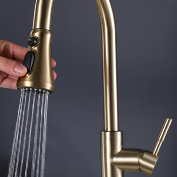 Single-Handle Pull-Down Sprayer Kitchen Faucet With Flexible House and Deck Plate in Brushed Glod