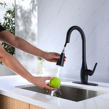 Single-Handle 2 water outlet Pull-Down Sprayer Kitchen Faucet in Matte Black