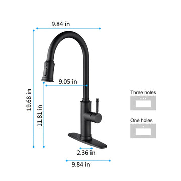 Single Handle Kitchen Faucet with Pull Out Sprayer