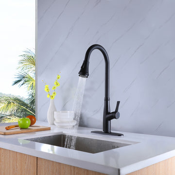 Single-Handle Pull-Down Sprayer Kitchen Faucet with Flexible House and Deck Plate in Black