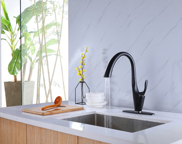 Single-Handle Pull-Down Sprayer Kitchen Faucet in Matte Black