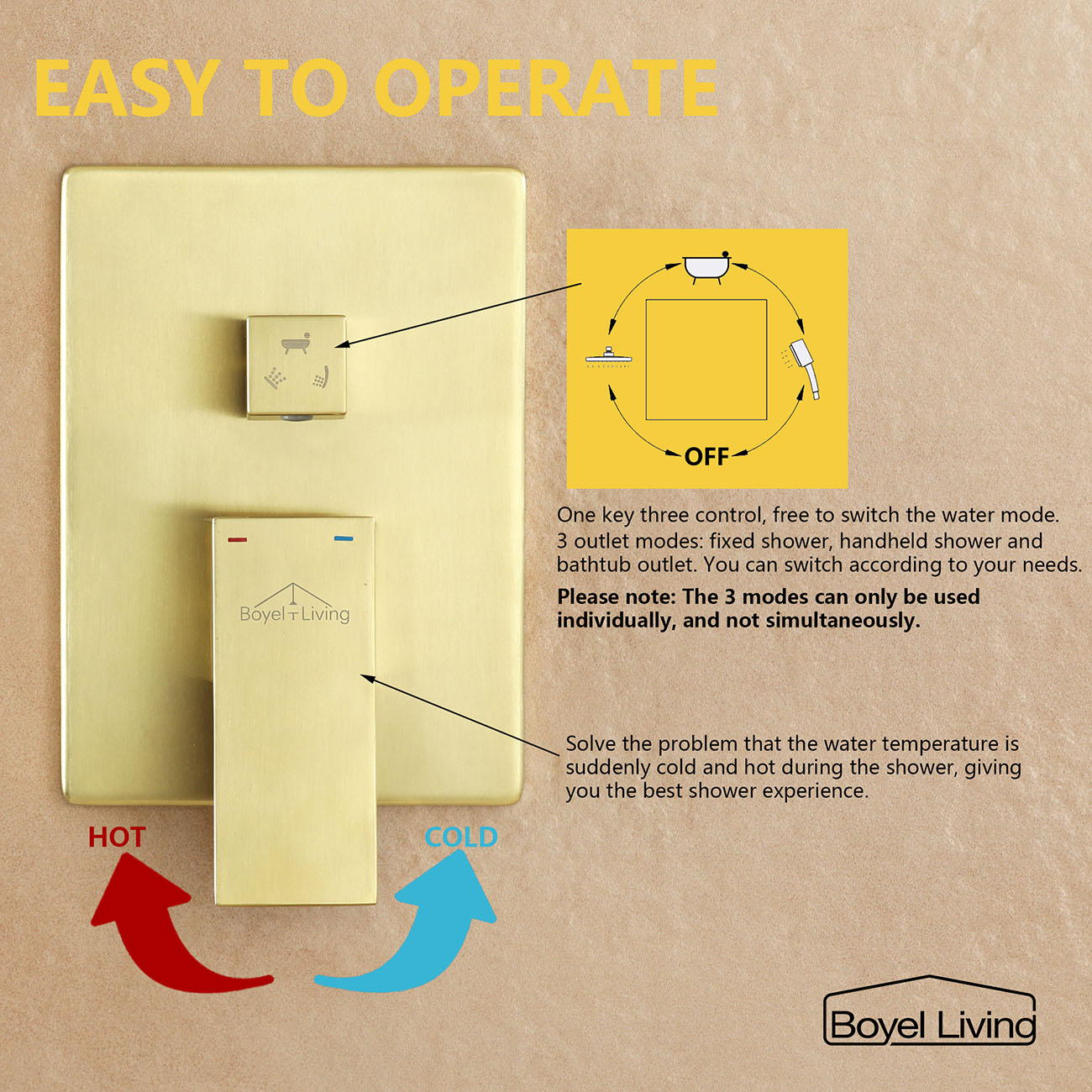 Three Function Shower System